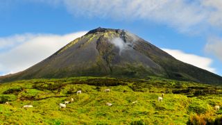 O cume do Pico visto do seu sopé
Lugar Ilha Do Pico nos Açores
Foto: Maurício de Abreu O cume do Pico visto do seu sopé
Lugar Ilha Do Pico nos Açores
Foto: Maurício de Abreu