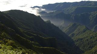 Floresta Lauríssilva
Lugar Madeira
Foto: Turismo de Portugal Floresta Lauríssilva
Lugar Madeira
Foto: Turismo de Portugal