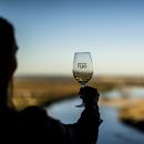 Vinhos do Tejo
場所: Vinhos do Tejo
写真: Gonçalo Villaverde | Vinhos do Tejo Vinhos do Tejo
場所: Vinhos do Tejo
写真: Gonçalo Villaverde | Vinhos do Tejo