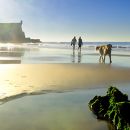 Praia de Carcavelos
Plaats: Carcavelos
Foto: Turismo de Portugal / RR Praia de Carcavelos
Plaats: Carcavelos
Foto: Turismo de Portugal / RR