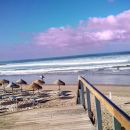 Eurostops Costa da Caparica Eurostops Costa da Caparica
